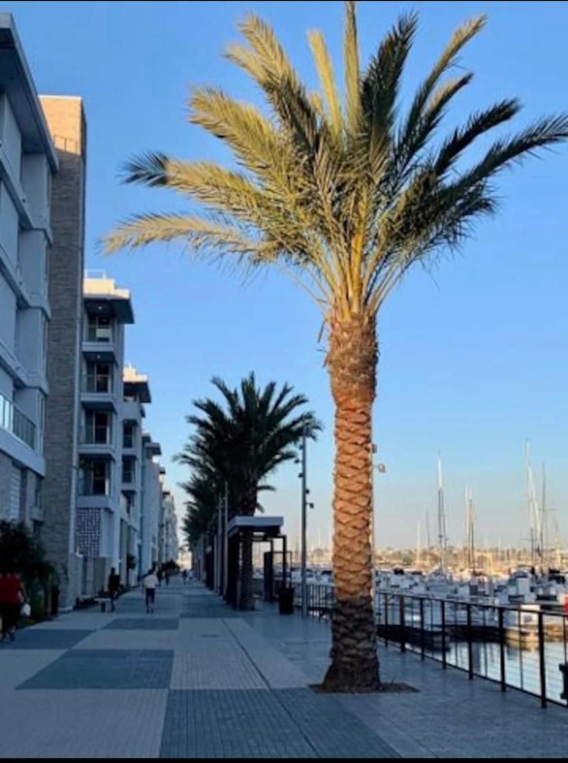 Venice Beach Lux Retreat Coastal Apartment Haven Los Angeles Kültér fotó